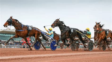 fricons turf|Turf : quinté+, résultats PMU, pronostics gratuits .